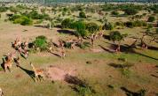  Къде да създадем най-хубавото африканско сафари 