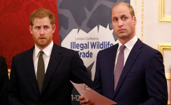  Искри прехвърчат в кралския двор. Какво се случва сред Уилям и Хари? 