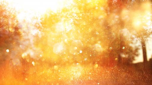  Топло и слънчево време, докога 