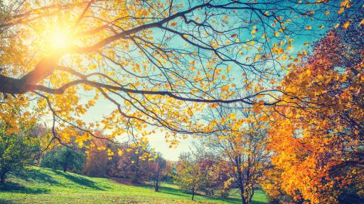  <p><strong>Топла и слънчева неделя</strong>, какво предстои</p> 