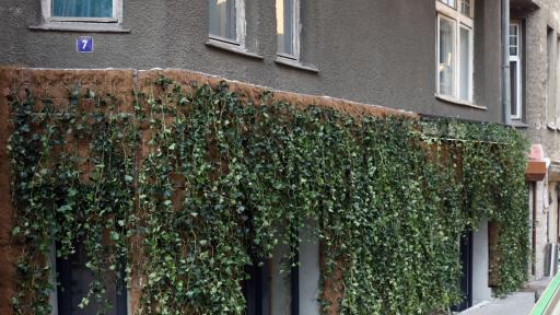  <p><strong>Ново</strong> арт пространство в <strong>София </strong>открива с удивителна изложба</p> 