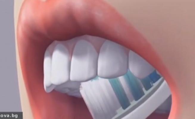 Зъболекар: 30% българи редовно се грижат за зъбите си. Ужасно е