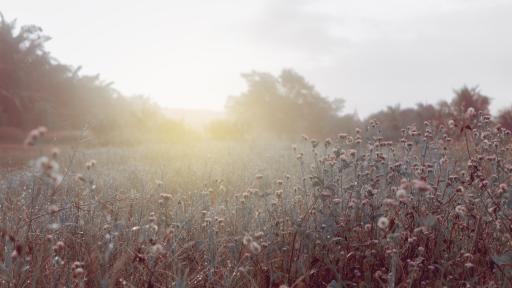  <p>Гъсти мъгли във вторник, по кое време идва снегът</p> 