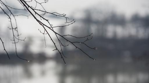  Мъгли, вятър, дъжд над страната, тук-там и сняг 