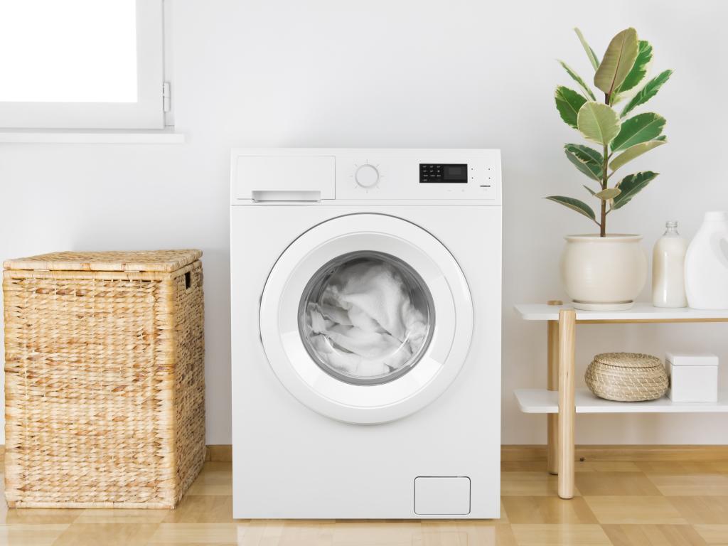 Мухъл и плесен често се появяват по гумените уплътнения на