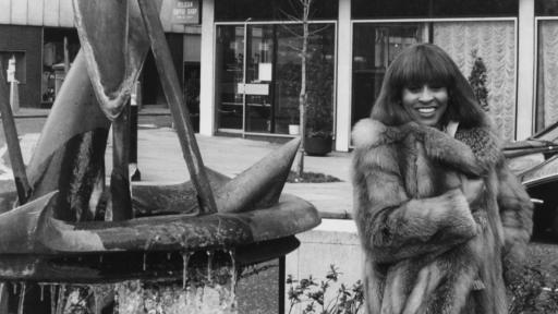  Тина Търнър 