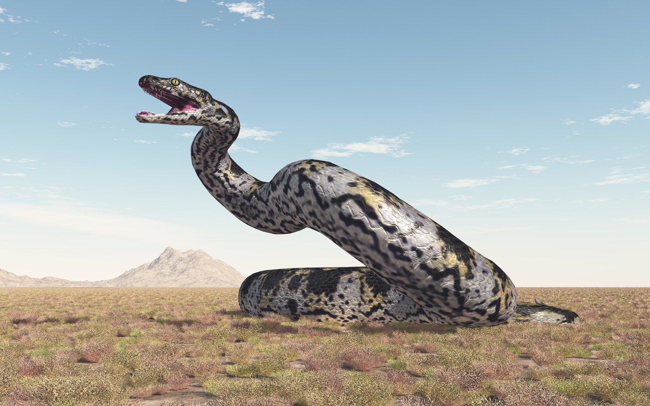 <p><strong>Титанобоа</strong></p>

<p>Ако ви е страх от змиите, които днес бродят из Земята, то значи благодарете се, че не сте се били наоколо преди 60 млн. години. Някъде 10 млн. години след изчезването на динозаврите на територията на днешна Колумбия властвала Титанобоа. Тази змия е стигала до почти 13 метра дължина и до колосалното тегло от 1135 кг.</p>