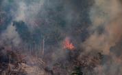  Амазонските пожари могат да се окажат пагубни 