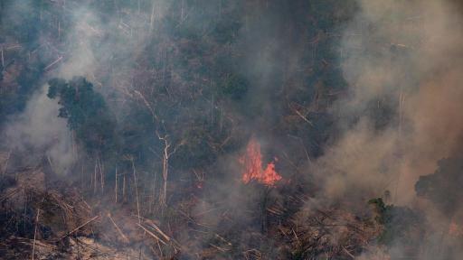  <p>Амазонските <strong>пожари </strong>могат да се окажат <strong>катастрофални</strong></p> 