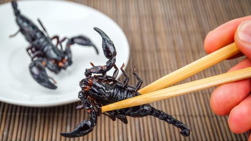  <p>Ресторант предлага ястия от<strong> скорпиони и тарантули</strong></p> 