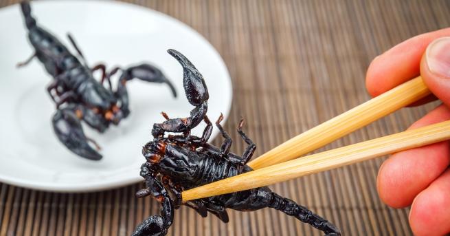 Любопитно Ресторант предлага ястия от скорпиони и тарантули Ресторант отворен