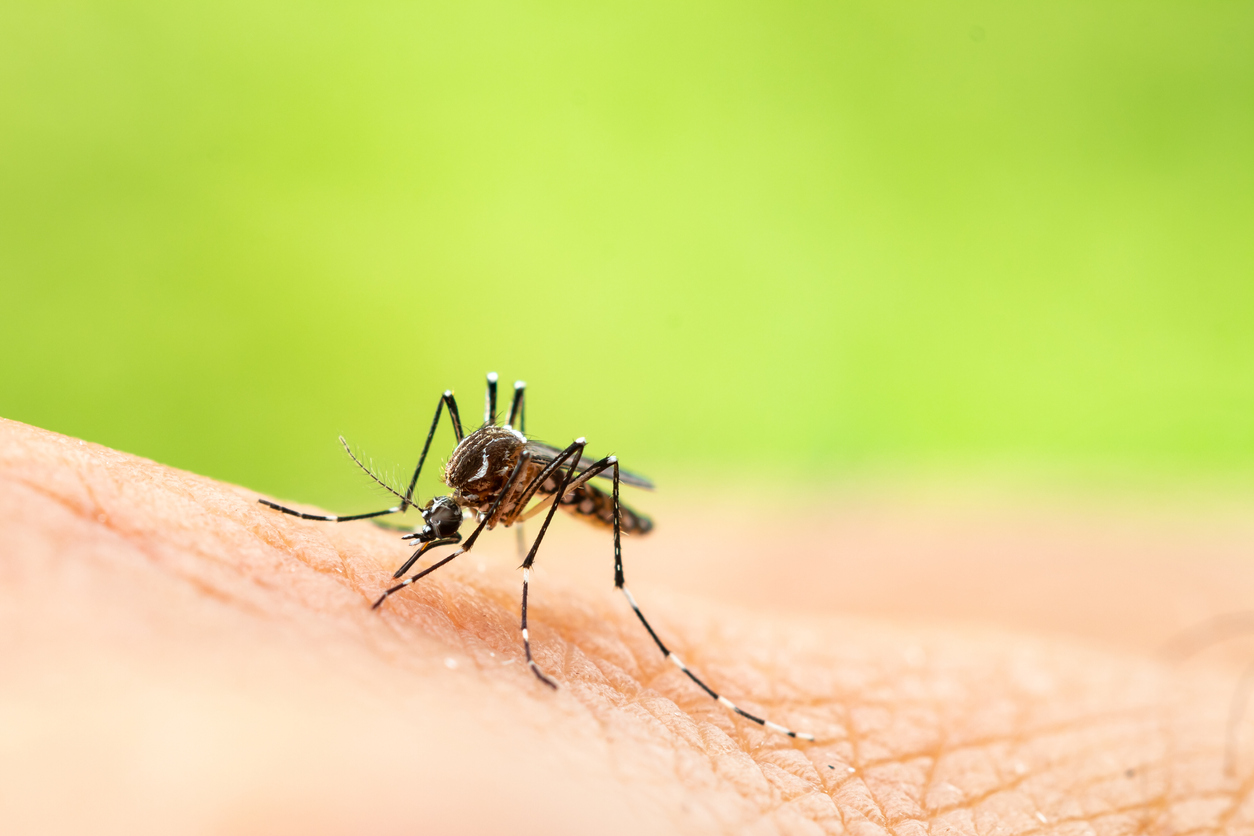 <p><strong>Мит 3: Мога да се заразя с ХИВ чрез ухапване от комар </strong></p>

<p>Няма проучвания, които да представят доказателства в подкрепа на това твърдение - дори в райони, където има много комари, както и случаи на ХИВ. Когато насекомите хапят, те не инжектират във вас кръвта на човека или животното, което са ухапали последно. Също така вирусът живее само за кратко време в насекомото.</p>