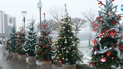  Откраднаха част от коледната декорация на София 