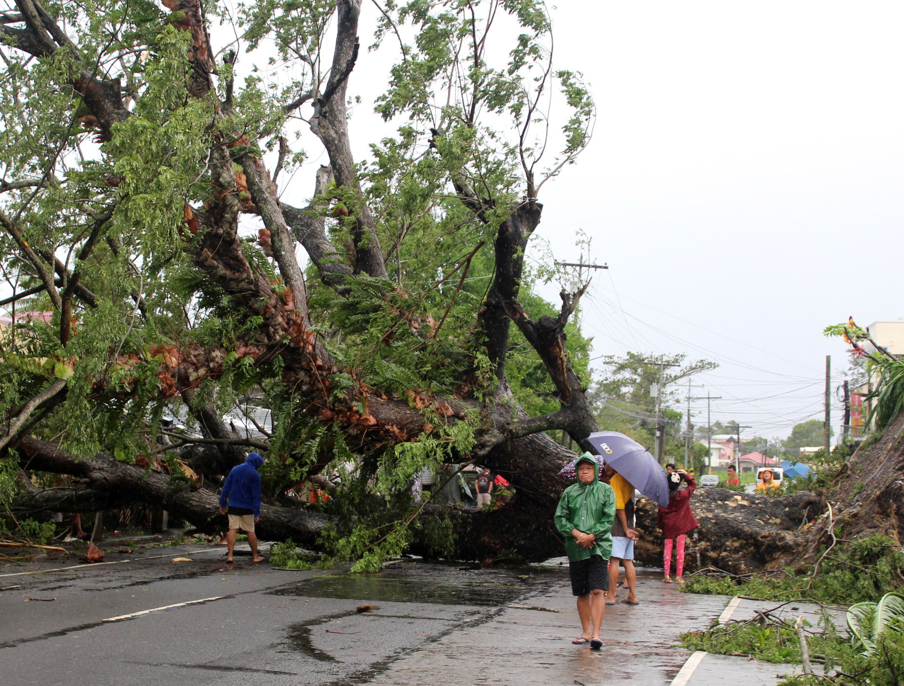 Късно в понеделник вечер тайфунът Камури удари Филипините със силни дъждове, които наводниха столицата в Манила. Според вестник "Филипинска звезда" броят на евакуираните в страната надхвърли 225 хиляди души.