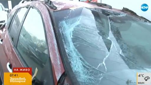  <p>Какво животно е изскочило на "Тракия" в катастрофата</p> 