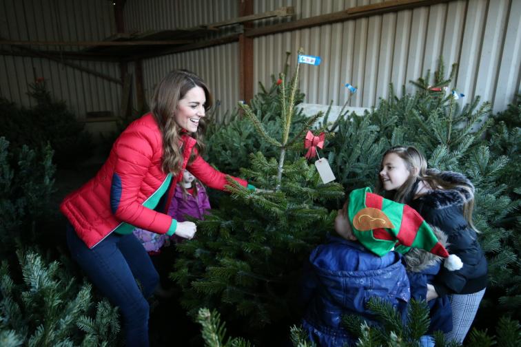 Кейт помага на деца при избора на елха