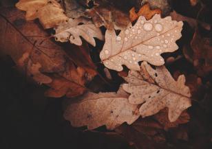 Очаква ни облачна събота