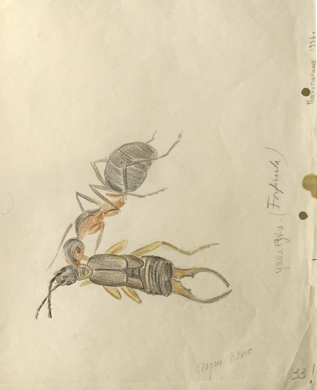 <p>Рисунките и колажите, запазени до днес, обаче дават повод за интересни разсъждения.</p>