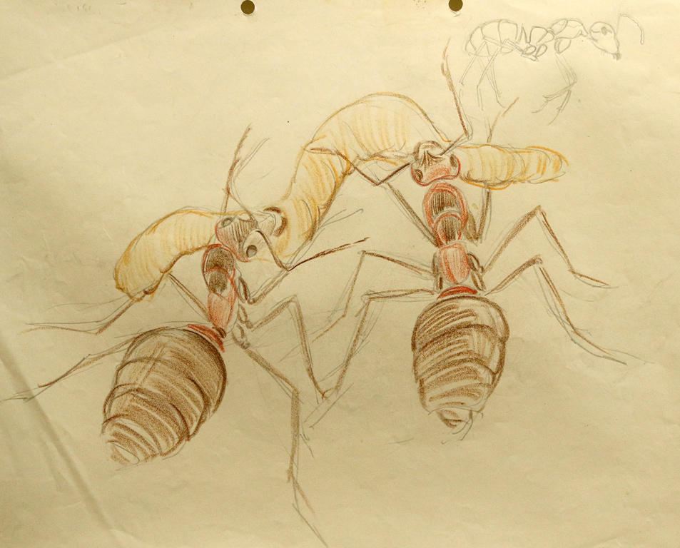 <p>Между научната илюстрация и художествената виртуозност, между науката и философията, тези произведения са нещо изключително както за творчеството на самия Лазаров, така и за изкуството в България от периода между двете световни войни.</p>