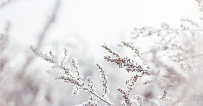 България Дъжд сняг студ вижте къде Застудяването ще продължи