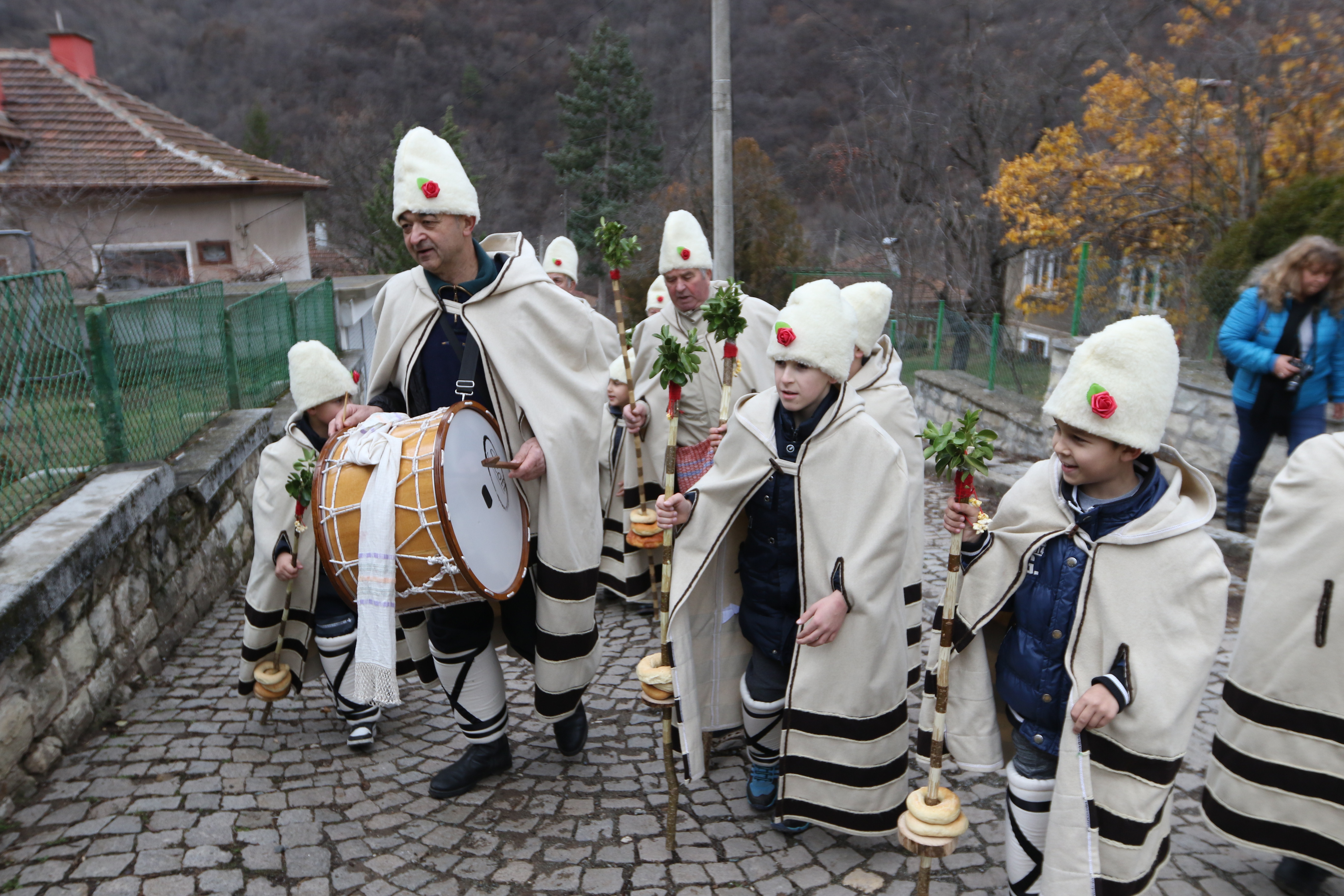 Облечените празнично коледари са с накичени с китки калпаци, а в ръцете си носят „шарени тояги”.