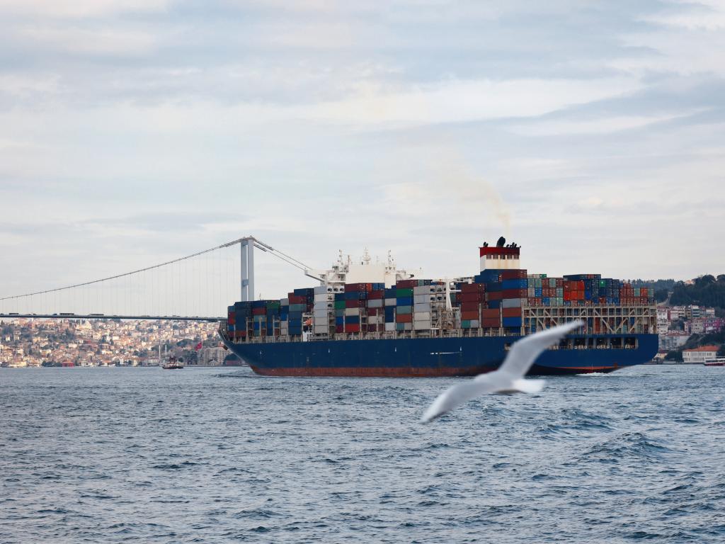 Движението на кораби през истанбулския пролив Босфор е временно преустановено