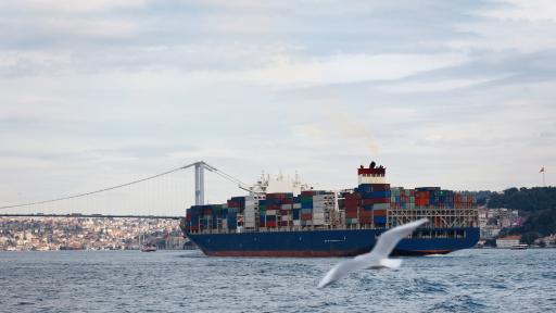  Затвориха Босфора, голям транспортен съд се блъсна в брега 