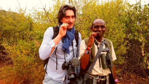  <p>Как лекуват масаите с растения</p> 