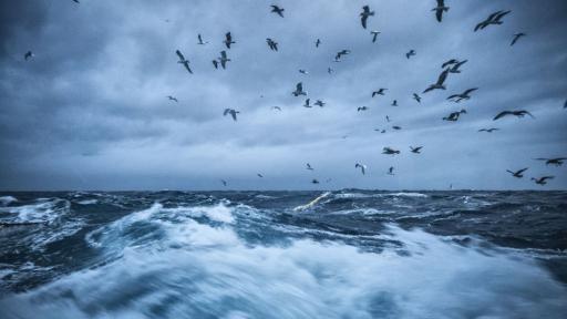  Жълт и оранжев код за мощен вятър, ето къде 