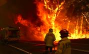  Българка от огнения пъкъл в Австралия: Пожарите не престават 