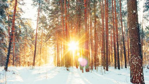  До 21 градуса през днешния ден, скоро се чака сняг 