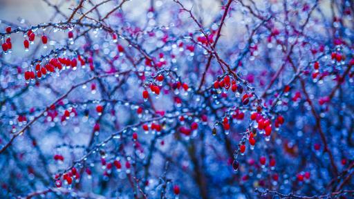  Дъжд и сняг през днешния ден, вижте къде 