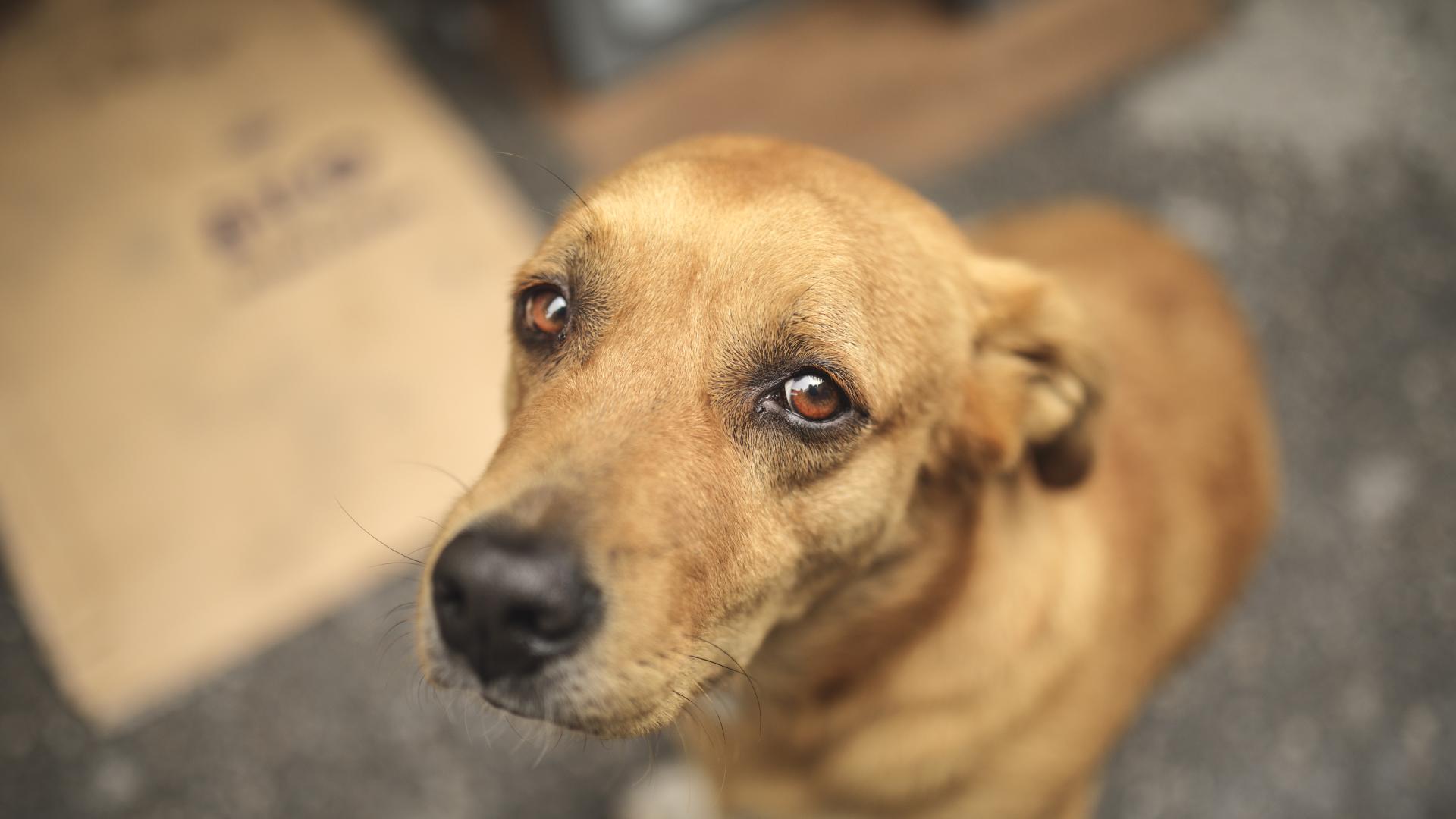 Със заповед за задържане до 24 часа от полицейски служители