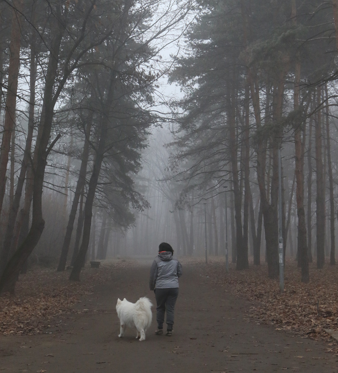 Мъгла и опасен въздух в София и днес