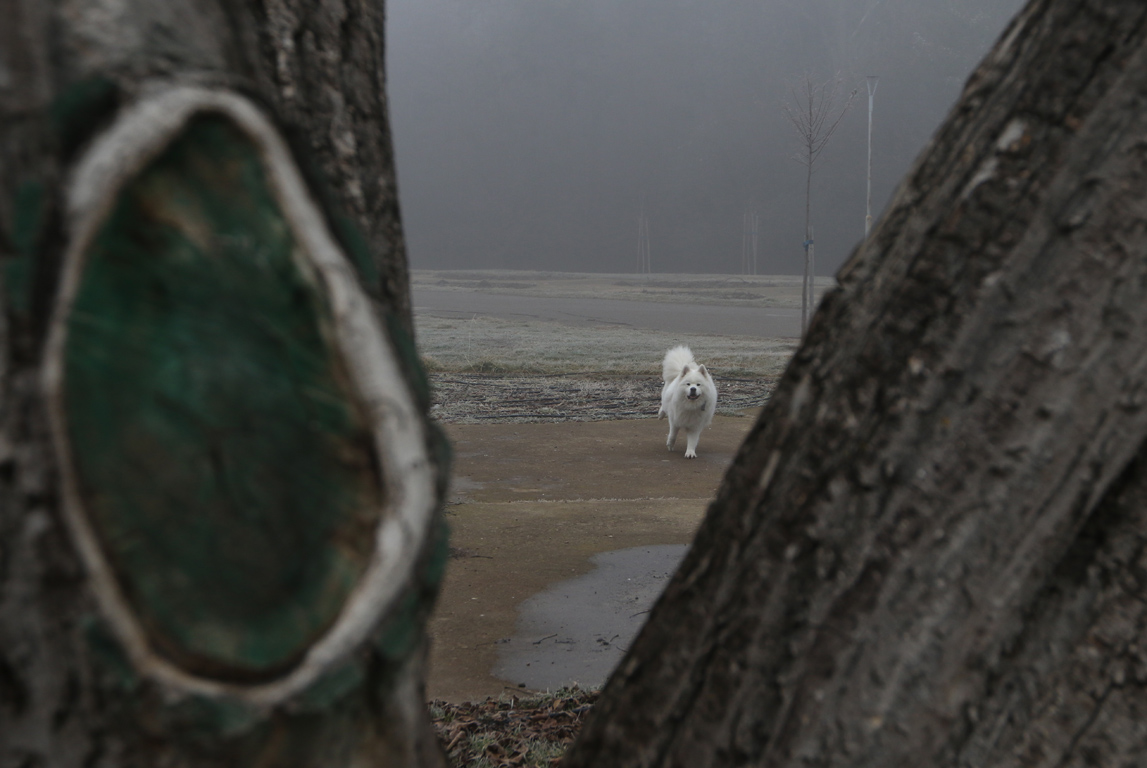Мъгла и опасен въздух в София и днес