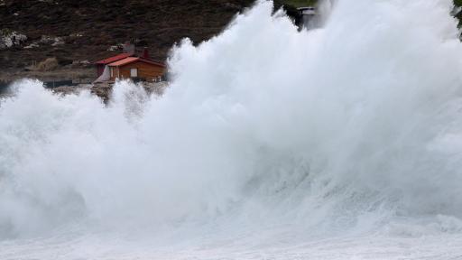  Снимката е илюстративна 