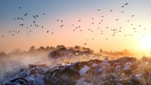  Кметът на Червен бряг: Боклукът е на труднодостъпно място 