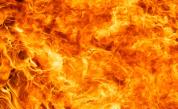  Пожар в предпазената околност Калимок край Тутракан 