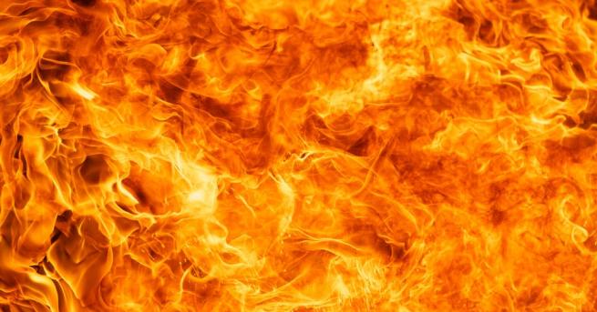 България Пожар в защитената местност Калимок край Тутракан В пламъци