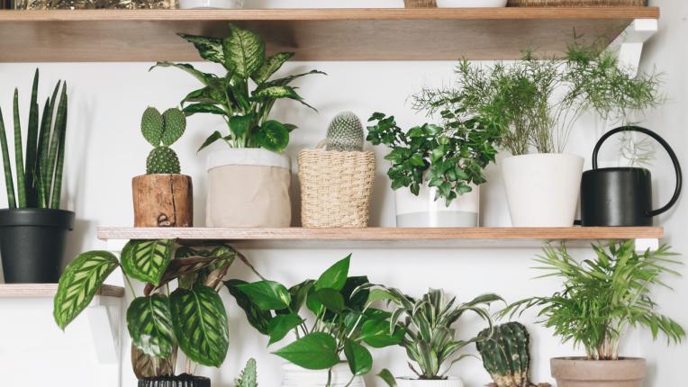  6 неща, които вършат дома ви непрекъснато прашен 