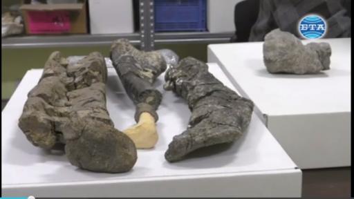  Какви динозаври са живели в България 