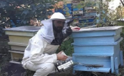  Васил Неофитов: от рок сцената с Гуано до 50 кошера с пчели 