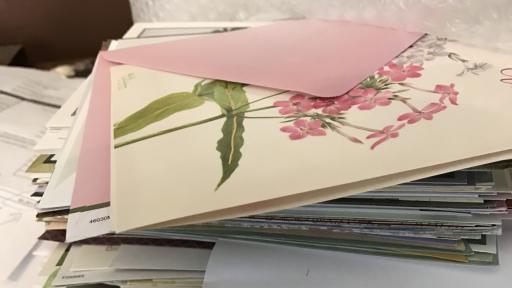  <p>Столетник получи <strong>70 000 валентинки</strong></p> 