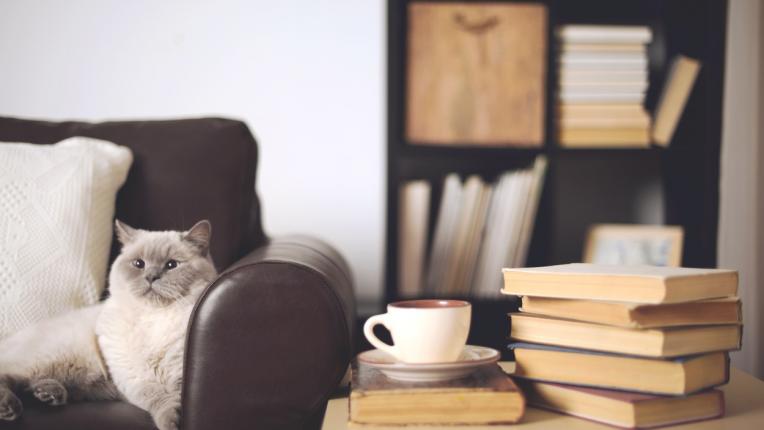  6 неща, които всяка edna жена би трябвало да има в дома си 