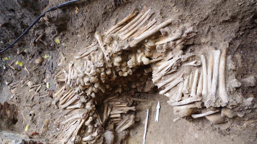 Откриха стени от човешки кости в Белгия