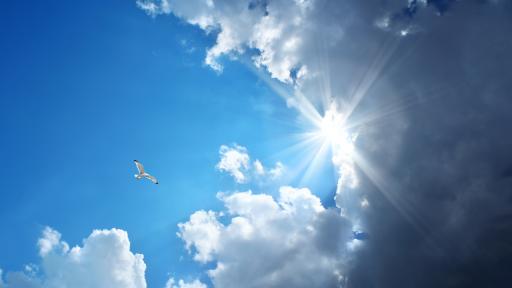  Пролетни температури, градусите скачат до 25 