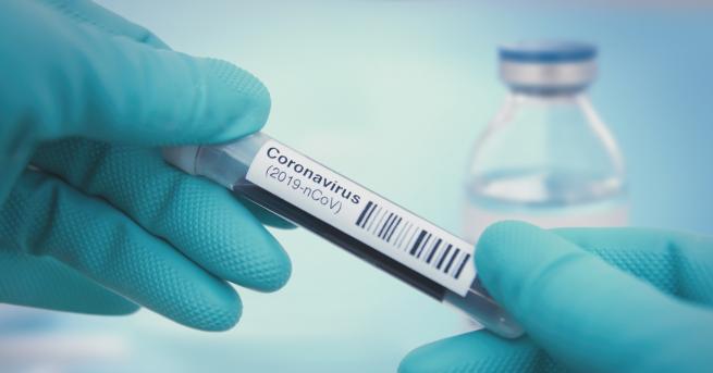 Свят В САЩ създадоха ваксина срещу коронавируса Процесът на разработването