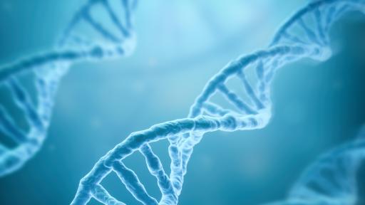  Учени създават ново лекуване против диабет 