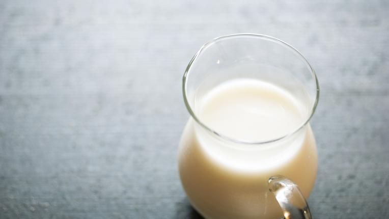  7-те храни с най-високо наличие на аминокиселини 