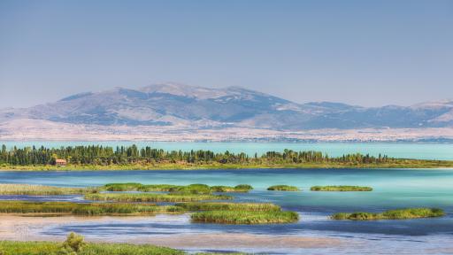  Откриха остатъци от антична изгубена империя в Турция 
